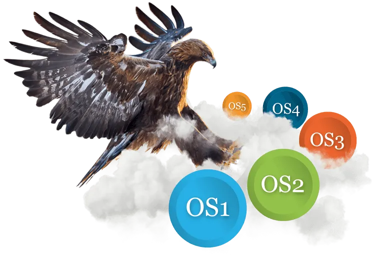 Orientierungsstufen