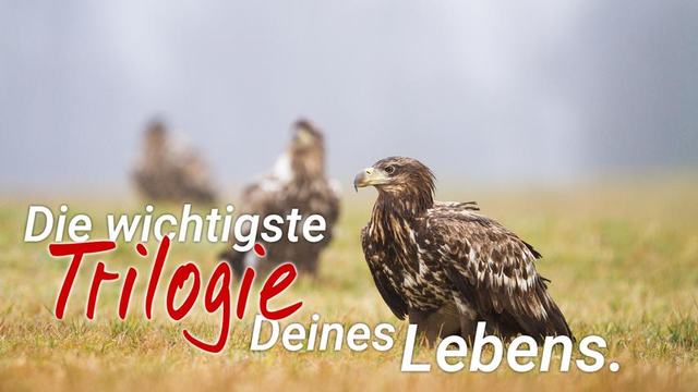 Die wichtigste Trilogie deines Lebens.
