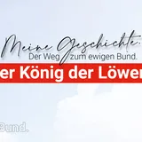 Der König der Löwen.