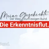 Die Erkenntnisflut.