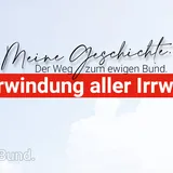 Die Überwindung aller Irrwege.